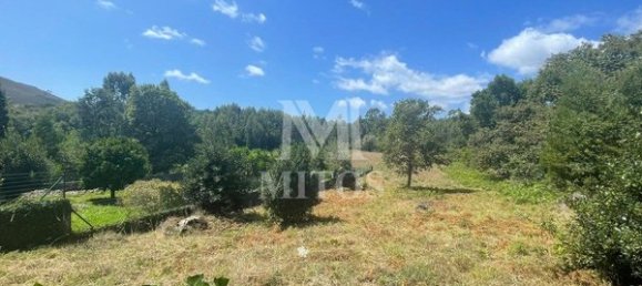 6272m² Land in Viana do Castelo, Portugal No. 88569 4