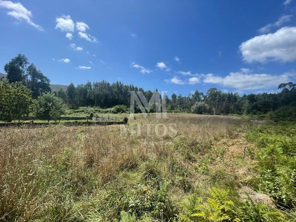 6272m² Land in Viana do Castelo, Portugal No. 88569