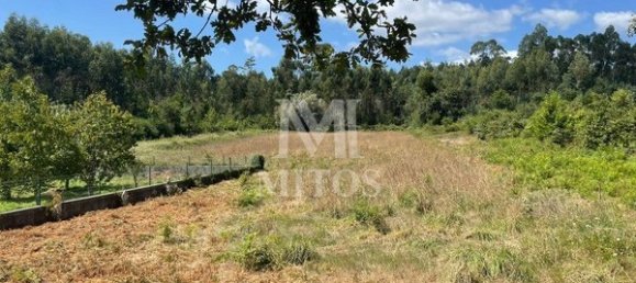 6272m² Land in Viana do Castelo, Portugal No. 88569 8