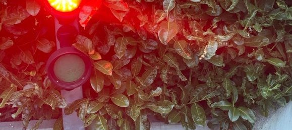 Parkplatz in Ortenaukreis, Germany, Nr. 228868 7