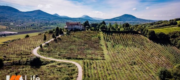 50000m² Land in Albettone, Italy No. 327781 9