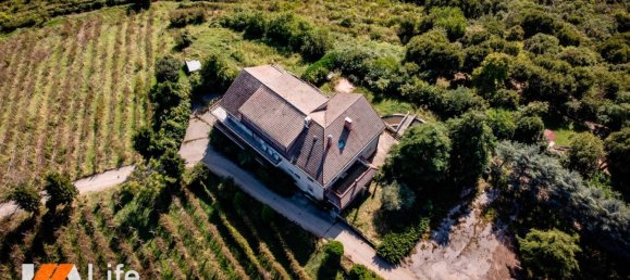 50000m² Land in Albettone, Italy No. 327781 13