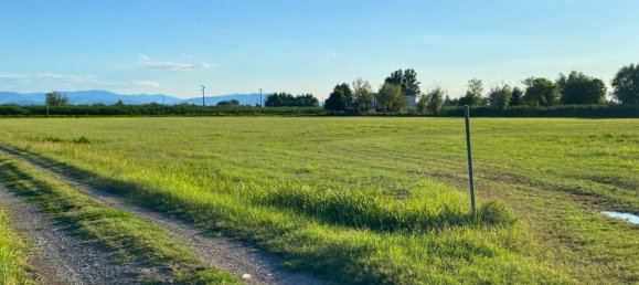 1630m² Commercial property in Campegine, Italy No. 258075 8