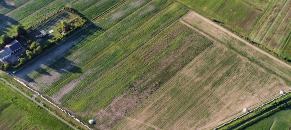 1630m² Commercial property in Campegine, Italy No. 258075 3