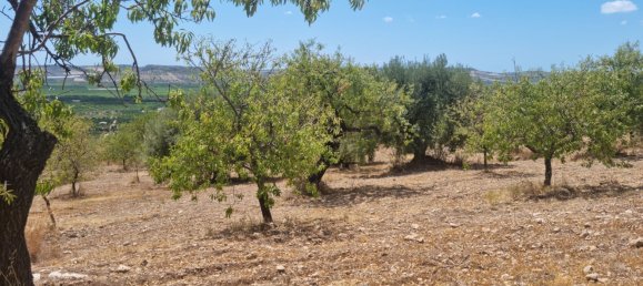 32000m² Land in Noto, Italy No. 255506 10