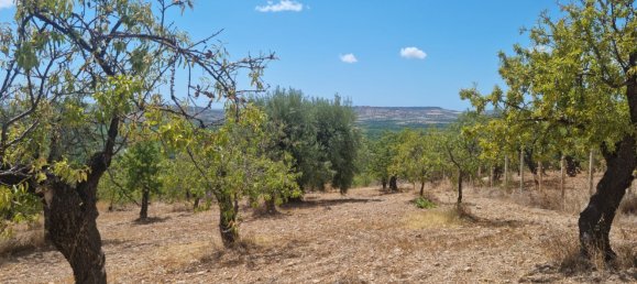 32000m² Land in Noto, Italy No. 255506 11