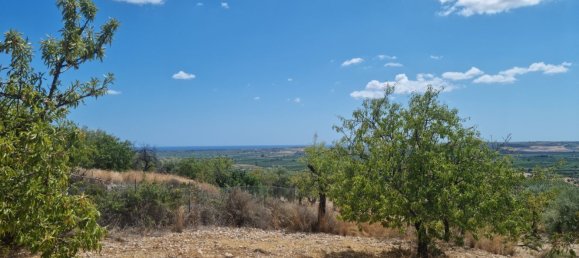 32000m² Land in Noto, Italy No. 255506 4