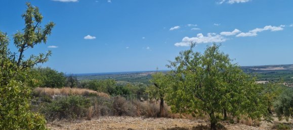 32000m² Land in Noto, Italy No. 255506 6