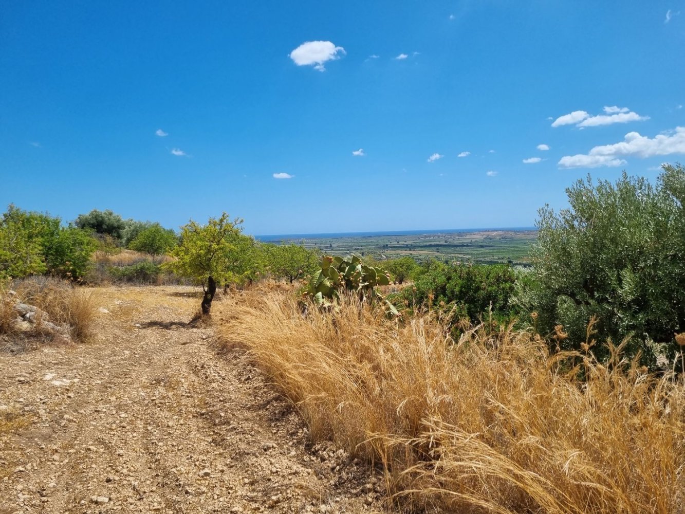 32000m² Land in Noto, Italy No. 255506