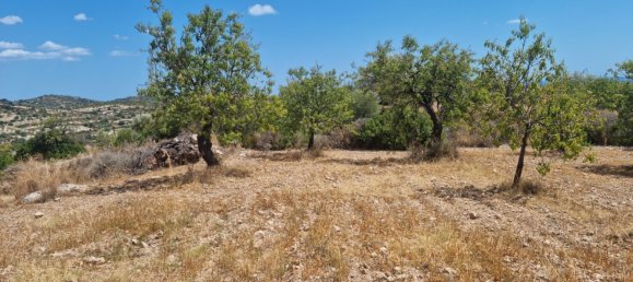 32000m² Land in Noto, Italy No. 255506 5