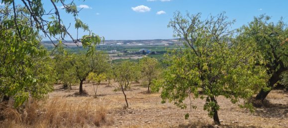 32000m² Land in Noto, Italy No. 255506 7