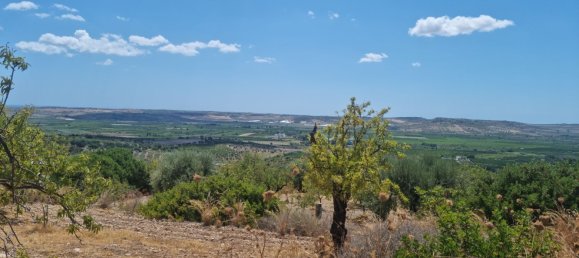 32000m² Land in Noto, Italy No. 255506 3