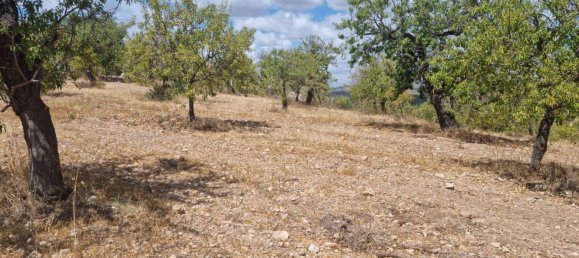 32000m² Land in Noto, Italy No. 255506 9