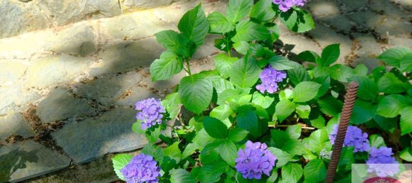 Вилла с 10 комнатами в Урбе, Италия № 145063 9