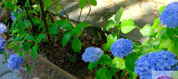 Вилла с 10 комнатами в Урбе, Италия № 145063 8