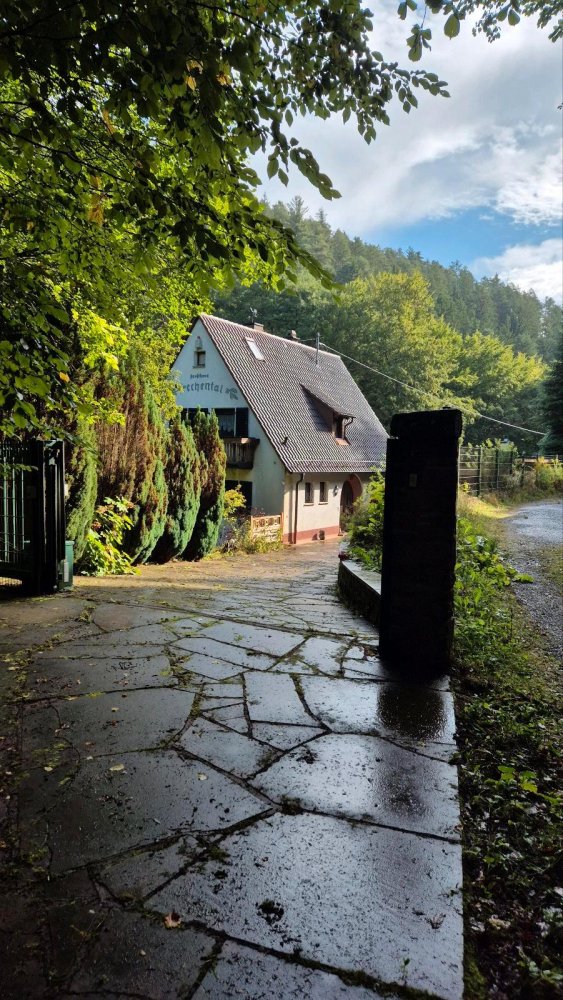 4 bedrooms House in Rhein-Neckar-Kreis, Germany No. 304940