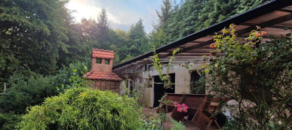 4 bedrooms House in Rhein-Neckar-Kreis, Germany No. 304940 9