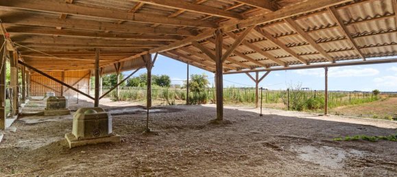  قطعة أرض في Andlersdorf, Austria 7576متر مربع رقم 193184 3