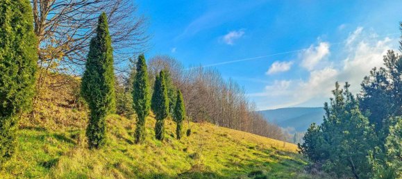 5 غرف نوم منزل في Erzgebirgskreis, Germany رقم 13180 13
