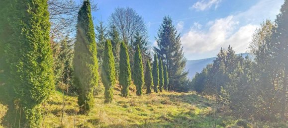 5 غرف نوم منزل في Erzgebirgskreis, Germany رقم 13180 12