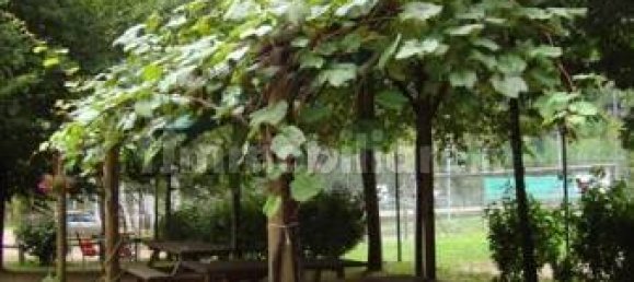 220m² Commercial property in Campertogno, Italy No. 337343 16