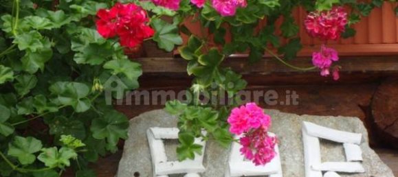 220m² Commercial property in Campertogno, Italy No. 337343 4