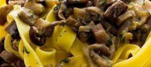 4-Zimmer Gewerbliche Immobilie in Maranello, Italy, Nr. 342289 5