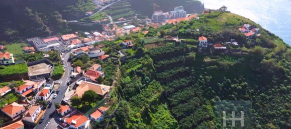5348m² Land in Ribeira Brava, Portugal No. 141922 12