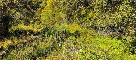 2100m² Land in Cadiz, Spain No. 72374 4