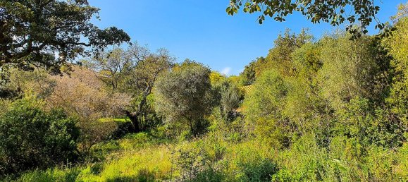 2100m² Land in Cadiz, Spain No. 72374 5