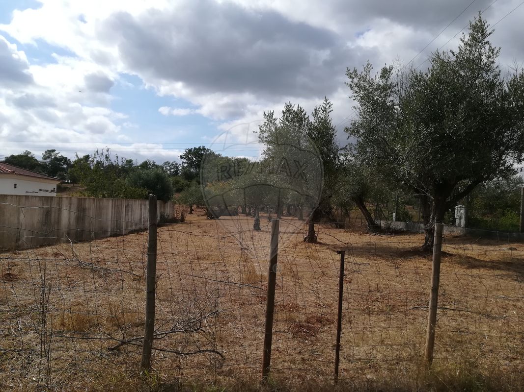 6000m² Land in Ferreira do Zezere, Portugal No. 91076
