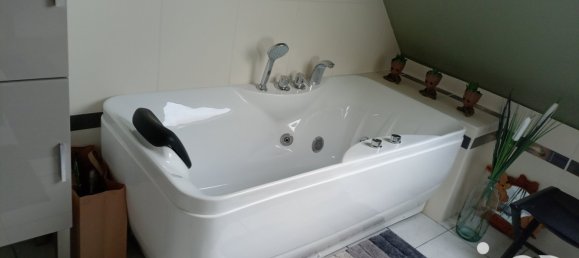 4 bedrooms House in Saint-Florent-sur-Cher, France No. 74482 51