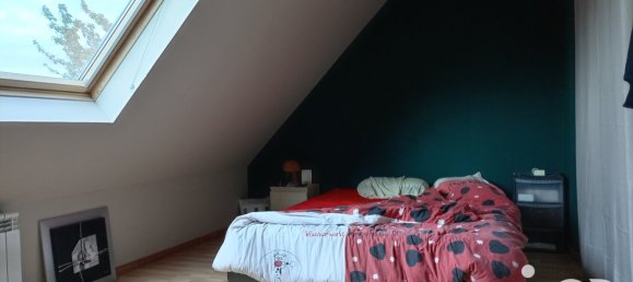 4 bedrooms House in Saint-Florent-sur-Cher, France No. 74482 41