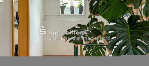 3-Zimmer Haus in Bergstraße, Germany, Nr. 320536 6