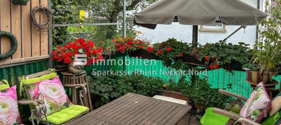 3-Zimmer Haus in Bergstraße, Germany, Nr. 320536 10