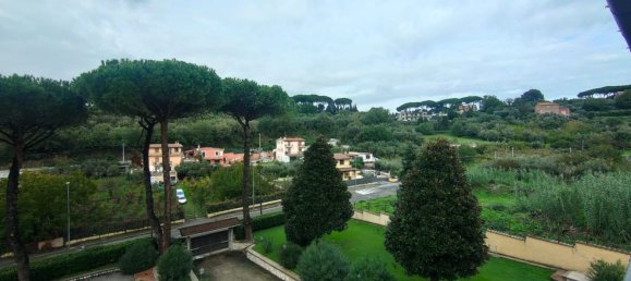 16-Zimmer Villa in Marino, Italy, Nr. 161179 12