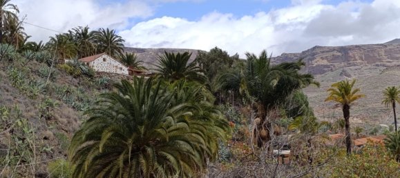 3 bedrooms House in San Bartolome De Tirajana, Spain No. 162665 35