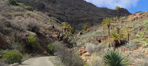 3 bedrooms House in San Bartolome De Tirajana, Spain No. 162665 36