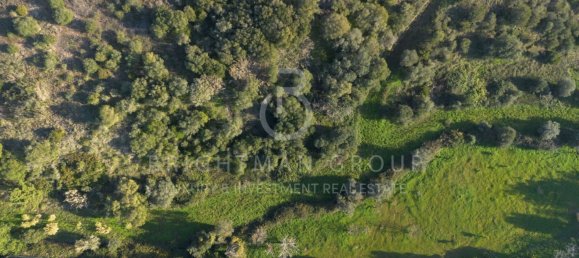 Terrain à Sesimbra, Portugal No. 98562 25