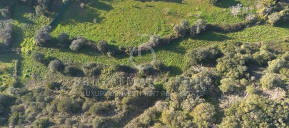 Terrain à Sesimbra, Portugal No. 98562 9