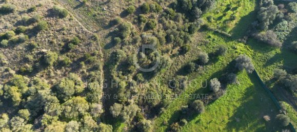 Terrain à Sesimbra, Portugal No. 98562 18
