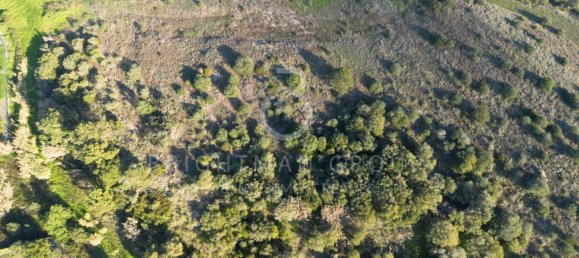 Terrain à Sesimbra, Portugal No. 98562 21