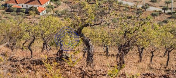 5 Schlafzimmer Haus in Meirinhos, Portugal, Nr. 90490 8