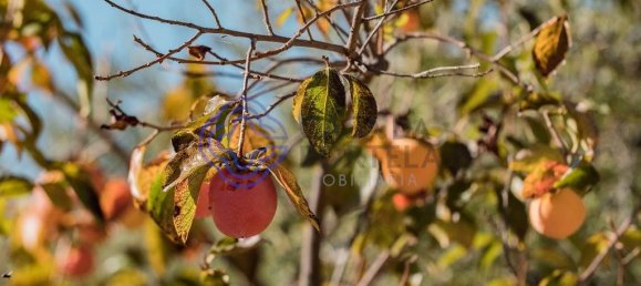 5 Schlafzimmer Haus in Meirinhos, Portugal, Nr. 90490 6