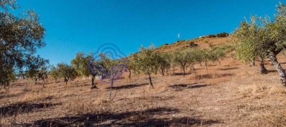 5 Schlafzimmer Haus in Meirinhos, Portugal, Nr. 90490 5