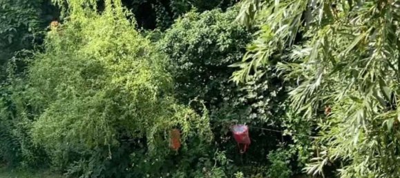 Studio à Pankow, Germany No. 109984 10