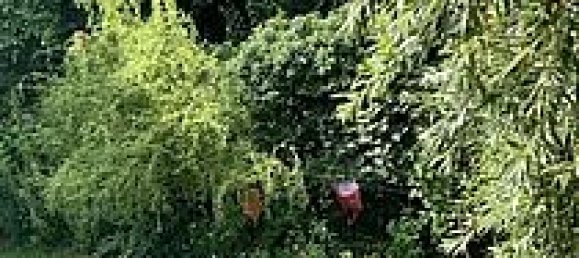 Studio à Pankow, Germany No. 109984 21