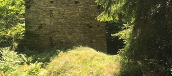 2 rooms House in Varzo, Italy No. 174116 3