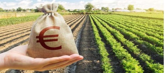 1 room Land in Roverbella, Italy No. 163138 3