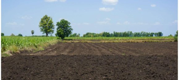 1 room Land in Roverbella, Italy No. 163138 2